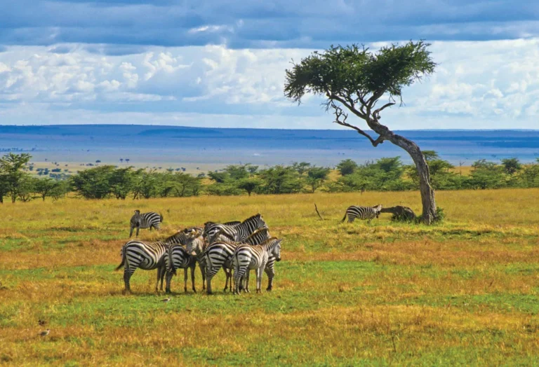 Travel Spotlight on Kenya